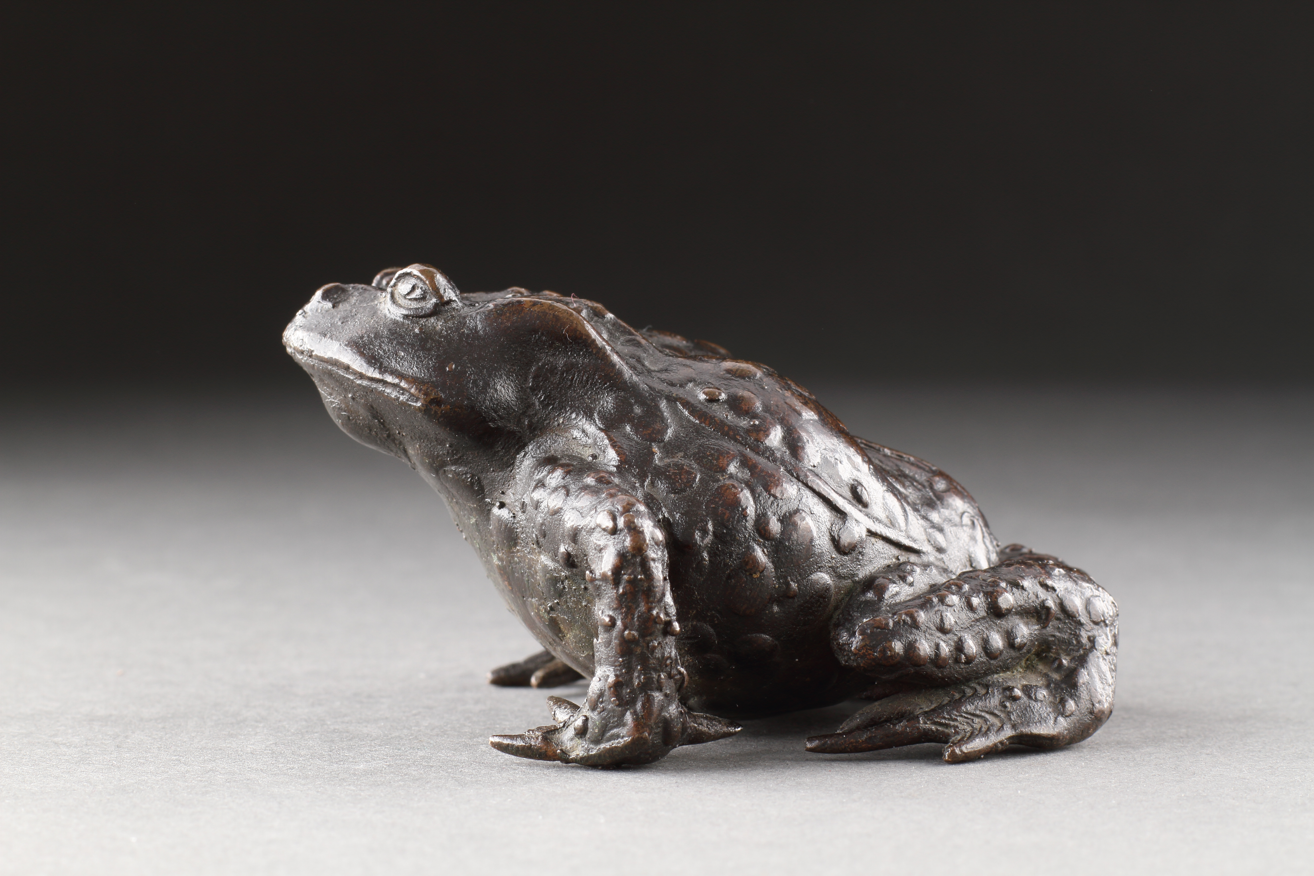 Fine Renaissance Bronze Model of a Toad